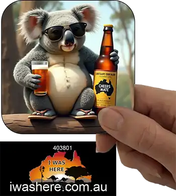 Coaster - Koala Enjoying Beer 4